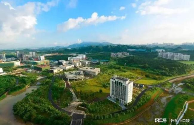 南方科技大学2024保研名单公布,保研率28%