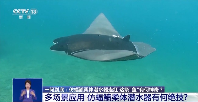 أصبحت الغواصة الناعمة التي تشبه أشعة مانتا شائعة. ما الشيء السحري في هذه 