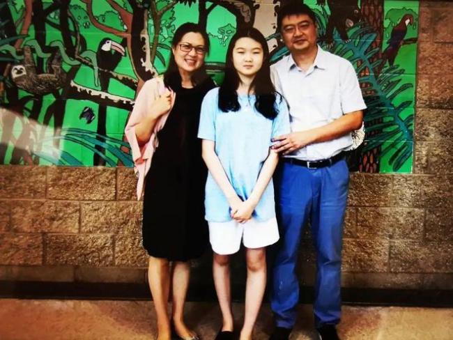 布料行业的五年经验总结：创新、质量与市场需求