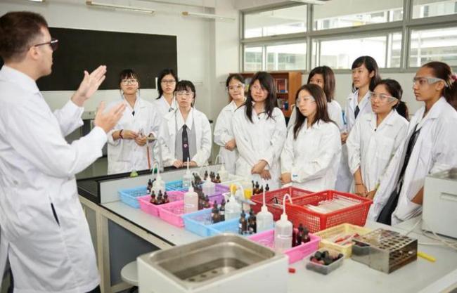 布料行业的未来: 机器会取代工人吗？