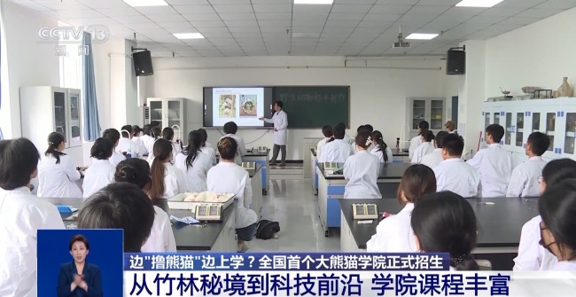 「パンダと遊びながら」学校に通いますか? 国内初のジャイアントパンダアカデミーが正式に生徒を入学させます