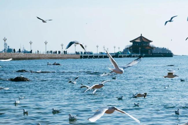 坐高铁出发!打卡“西虹市”同款美景!