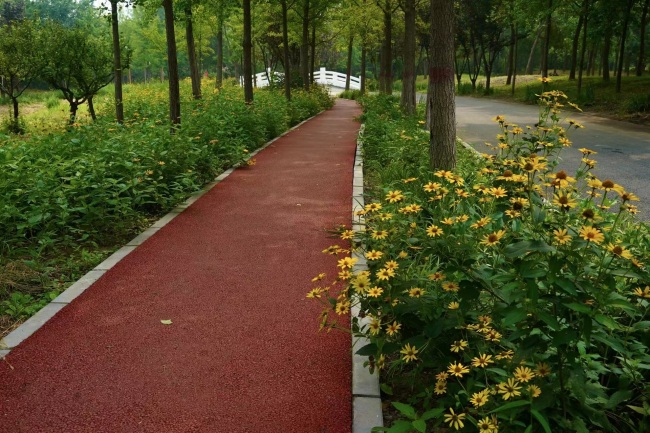 Light up the Garden City, Chaoyang 40 kilometers of greenways connect 7 parks