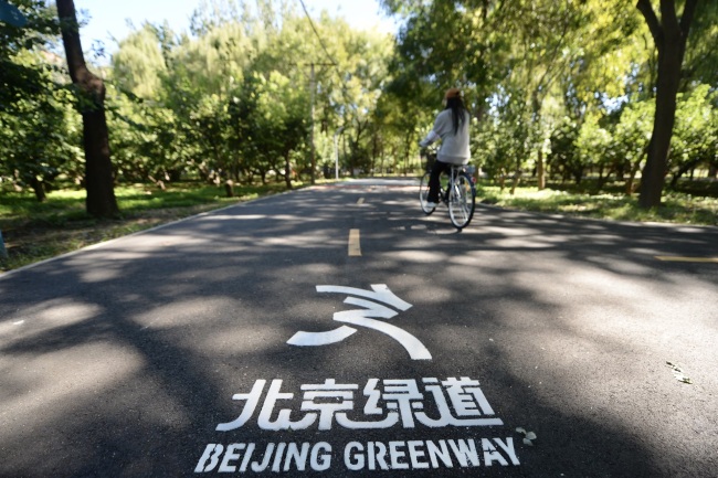 Light up the Garden City, Chaoyang 40 kilometers of greenways connect 7 parks