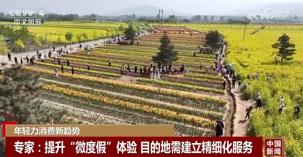 // </p> Экспериальные экспериозные. Для разных групп улучшайте туристический опыт и сформируйте определенную мощность непрерывного потребления. </p> <p class = 