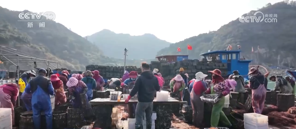 /> <p> <p> <p> <p> <p> luoyuan County Produces More als 100.000 Tonne von ANALON VON MIT ANAGE MIT ANALOGE MIT ANALOGE MIT ANAGE MIT ANALOGE MIT ANALOGE MIT ANALOGE MIT ANALOGE MIT ANALOGE MIT TONS ABALOW OF ABALOGUS MIT ANAGED AUSGEBNIS. 3 Milliarden Yuan. Während des Frühlingsfestivals werden hier etwa 3.500 Tonnen Abalone in den Markt eintreten. Mitte Januar wird die neu gebaute moderne Abalone-Verarbeitungsanlage in der Region offiziell in die Produktion gebracht, wobei eine geplante jährliche Verarbeitung von 2.000 Tonnen Abalone und einen zusätzlichen Ausgangswert von 150 Millionen Yuan, der nicht nur die Industriekette erweitert, sondern auch den Mehrwert des Produkts erheblich erweitert. </p> <p> yan'an, Shaanxi: Äpfel werden für die Spitzenverkaufssaison begrüßt, und Online- und Offline -Werbeaktionen werden synchronisiert. Als sich das Frühlingsfest nähert, leiten Äpfel in Yan'an, Shaanxi, die Spitzenverkaufssaison ein. Alle Fruchtspeicherunternehmen nutzen die Marktchancen vor dem Festival und leisten gute Arbeit im Apple -Verkauf. </p> <p class = 