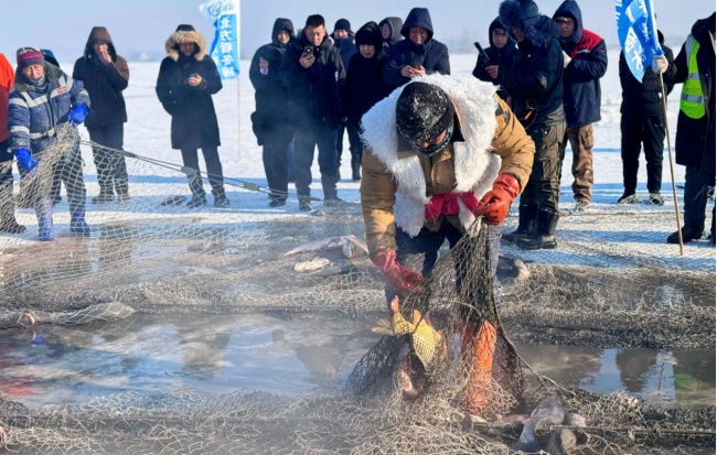 Net 200.000'den fazla jin! Çin Radyo ve Televizyonunda Liu Jingjing) </p> <p> Kutang Mu Gölü, Zhaodong Şehrindeki Laozhou kasabasında bulunan Bin yıllık Antik Nehir Nehri Kanalı'nda yer almaktadır. Harbin çevresindeki en büyük doğal göldür. Gölün su kalitesi açık ve açıktır ve son derece zengin su kaynaklarına sahip beyaz balık, oxa çiçeği, sazan, crucian sazan, gümüş sazan, bighead sazan, göl karides, vb. Gibi su ürünleri üretir. Kutangmu Gölü Kış Yakalama Kültür Festivali, yaklaşık 10.000 turisti kış yakalamalarını izlemek ve göl balıklarını tatmak için ziyaret etti. </p> <p class = 
