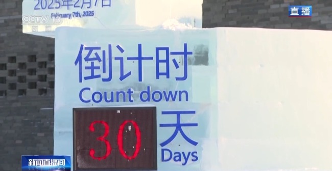 The Asian Winter Games 