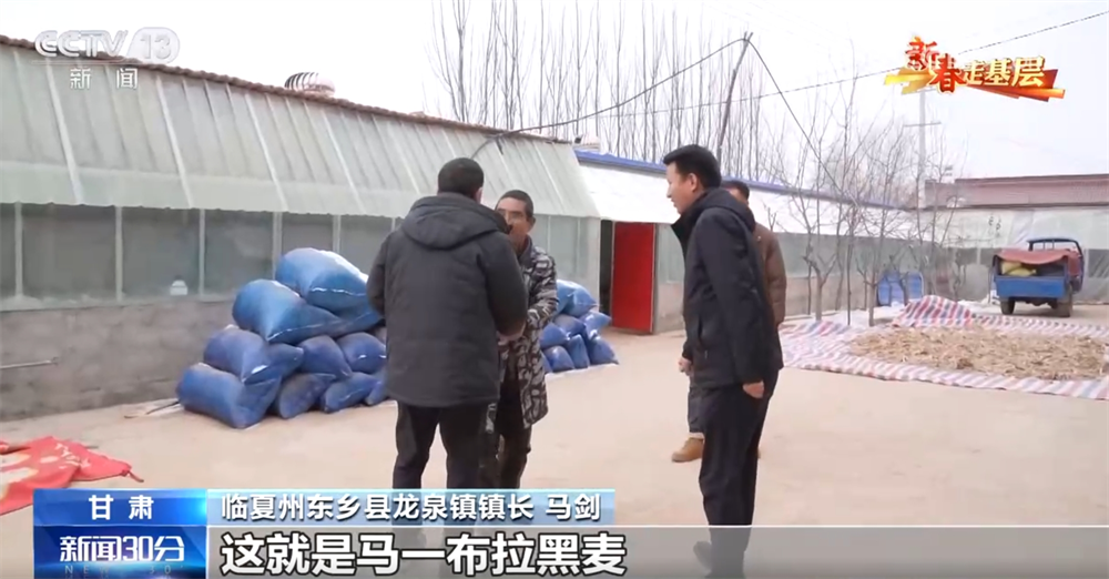 /> </p> Ma yibul в школе. Когда он впервые переехал в деревню Лаучюан в 2015 году, его семья была самой экономически неблагоприятной семьей в деревне. В округе Донгсин семьи с такими трудностями, как Ма Иибра Рай, могут быть включены в цель мониторинга для облегчения бедности путем сканирования QR -кода путем сканирования QR -кода. Субсидия для покупки овец размножается 60%. Семьи, которые не могут поднять, могут быть переданы кооперативам размножения, а дивиденды выплачиваются в соответствии с доли после убийства. Если они обеспокоены тем, что овцы получат инфекционные заболевания, им будет дана страховка. Техники из окружных и городских ветеринарных станций приезжают в дверь; Если они строят или расширят овец, они будут вознаграждены 180 юаней на квадратный метр; Если они купят кормовую дробилку, они будут вознаграждены 25% -30% за единицу; Если они не понимают технологии разведения, они будут отправлены в профессиональную техническую школу для обучения. Настоящая политика услуг «универсал» предоставляет сельским жителям суть. </p> <p class = 