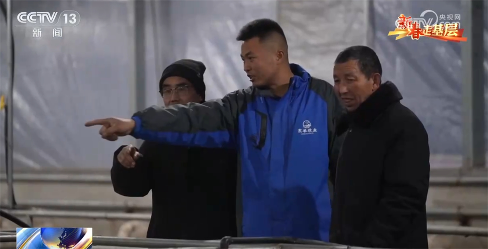 // </p> <p>, когда приближается фестиваль весеннего фестиваля. </p> <p> Я слышал, что у семьи был маленький ягненок, а моя дочь Ма Сяолан была так счастлива. </p> <p> Когда он жил в горной долине, школа была далеко от дома. Ма Сяолан ходила в начальную школу только в возрасте 12 лет, но теперь ей 22 года, и она только на втором курсе средней школы. Моя дочь очень успешна. Мало того, что у нее есть хорошие академические результаты, она также становится монитором класса. </p><p class=