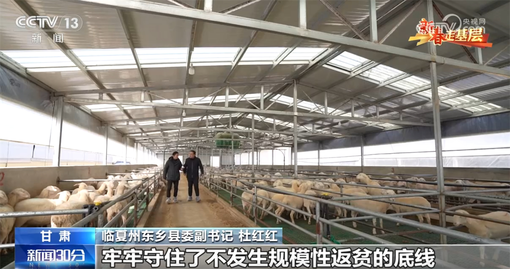 // p> <p> В последние несколько дней я слышал, что у Bakred bashred. Ма Иибра Рай сразу же призвала соседей пойти и увидеть друг друга. </p> <p> В 2023 году правительство представило эту современную базу размножения. База размножения предоставляет фермерам формулы корма и объясняет, как научно кормить. Благодаря государственным субсидиям фермеры могут потратить только один доллар на искусственное осеменение размножающихся овец. </p> <p class = 