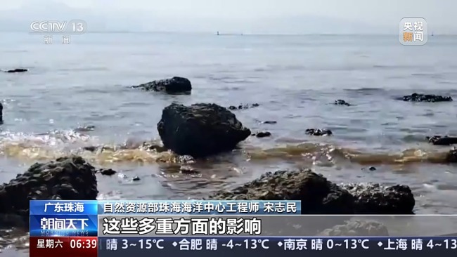 Abnormal water color in many places near the coast of Zhuhai Experts: There are many reasons for the formation
