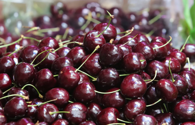 More than 20,000 tons of Ceri melintasi pegunungan dan laut, apa itu 