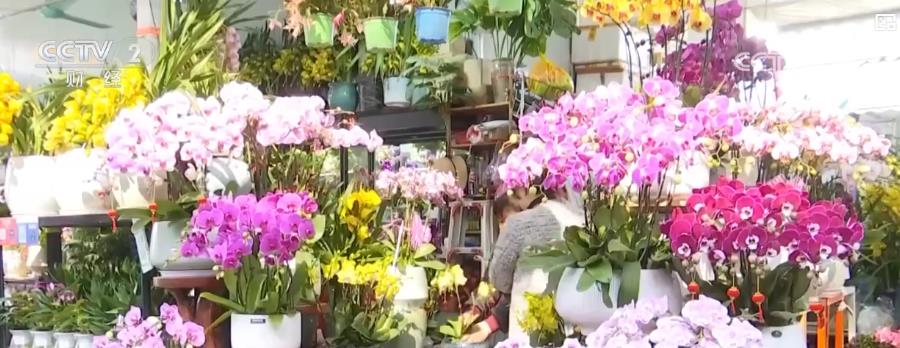 // </p> Proport Spestor Spestor Festor Положите на полки, и десятки разновидностей цветов, таких как Phalaenopsis, Anthracene и Holly, цветут, с ароматом повсюду. </p> <p class = 