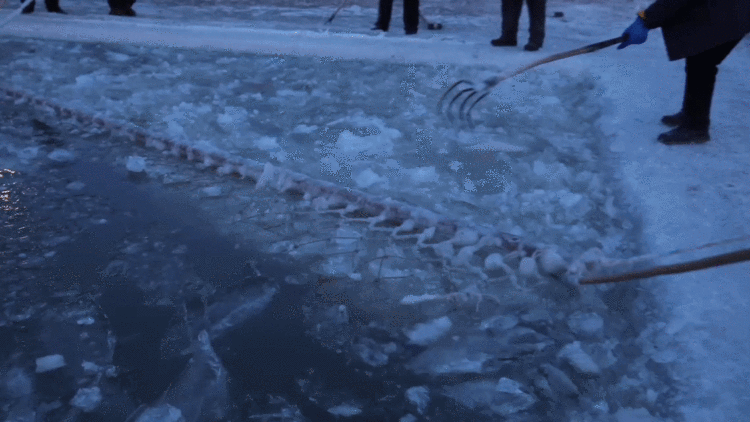 在“尔滨”|看亚冬之城燃动冰雪激情