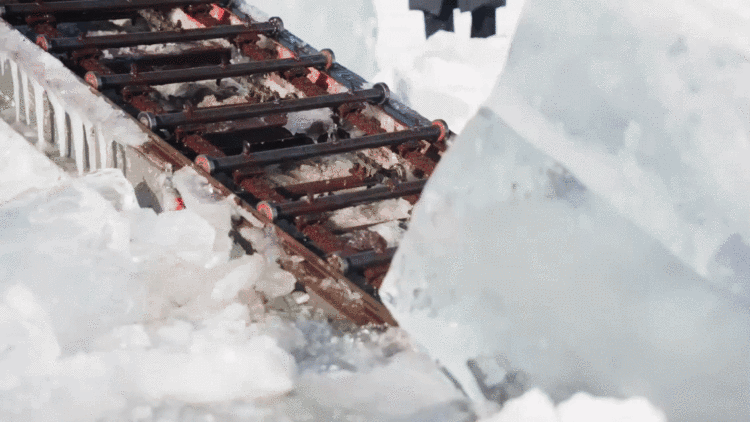 在“尔滨”|看亚冬之城燃动冰雪激情