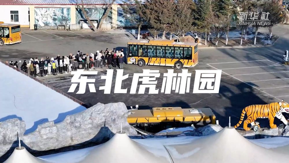 çin ekonomik yuvarlak masa | Asya Kış Oyunları geliyor! Harbin Buz ve Kar Turizmi sınırsız 