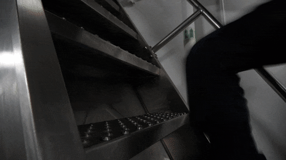 The Pacific Ocean, the 