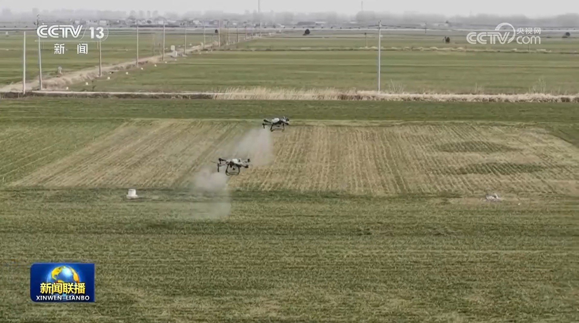 /> </> </P> <p> <p> In diesem Jahr. und das derzeitige Sämlingwachstum ist im Allgemeinen normal. Nach dem fünfzehnten Tag des ersten Mondmonats wird Winterweizen grün werden. </p> <!-repaste.body.end->               </div>
              
          </div>
          
          <!--<div class=