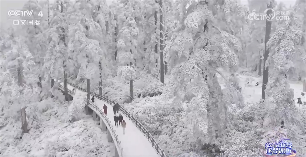 /> </p> <p> La zona locale sta anche espandendo la nuova tracce di ICHACE e SHOVE ICHICACHECH. La sfida dell'alpinismo Ice and Snow lanciata quest'anno è particolarmente popolare: i concorrenti salgono sulla montagna lungo il sentiero della scala e attraversano la neve morbida fino in fondo. Non solo possono sperimentare il divertimento dell'arrampicata, ma anche godersi il pittoresco scenario di neve lungo la strada. Dal dicembre dello scorso anno, sono stati attratti un totale di 420.000 turisti. </p> <p class = 