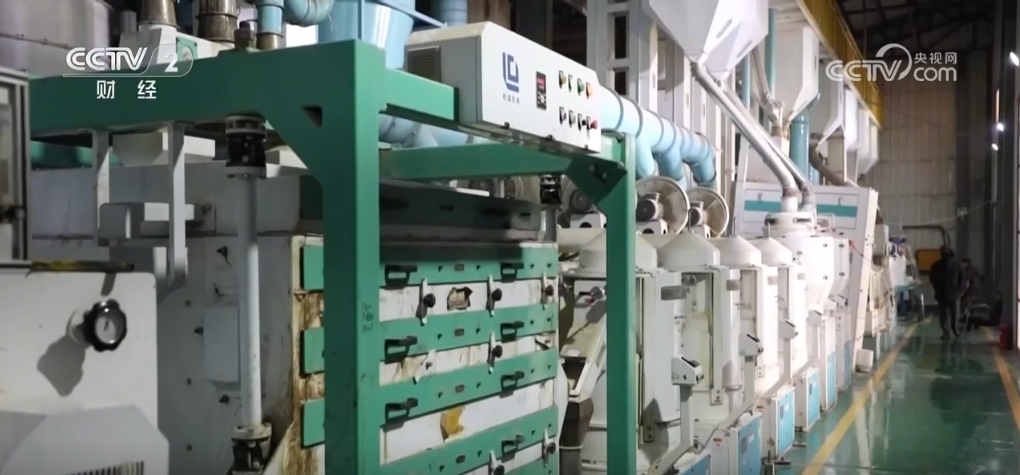 /> </p> <p> Weii Zhenmin ist ein grainer Grower in RAOHE COCCACA. Er erzählte Reportern, dass er bei der Docking-Sitzung erfolgreich einen 2.000 Hektar großen Reisbefehl unterzeichnet habe. In der Vergangenheit war ich am meisten besorgt darüber, was ich vor dem Frühlingspflügen gepflanzt hatte. Jetzt kann ich nach der Bestellung Samen kaufen, was Zeit und Mühe bei der Vorbereitung auf das Pflügen spart. Er sagte: 