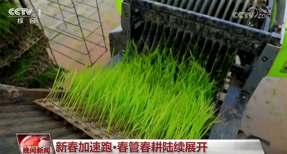 /> </P> <p> <p> <p> diesem Jahr, Hainan, hat einen Pilot-Agriculation-Agriculations-Pilot-Agriculations-Agraring. Betriebsdienste für landwirtschaftliche Maschinen wie Reismaschinen -Transplantationen in Form von elektronischen Gutscheinen zur Verbesserung der Pflanzqualität. </p> <p class = 