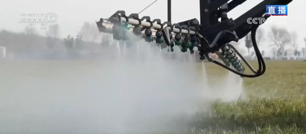 /> </P> <p> <p> ANTER ANTER ANTER ANTER EIN INTER EIN ANTER. Derzeit sagte der landwirtschaftliche Techniker Reportern, dass es ein lokales Gerücht gibt, wenn man sich die starken Weizensamen ansieht. 