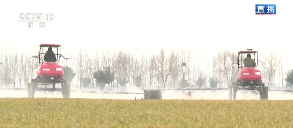 /> </> </P> <p> <p> mechanische Fertilisciscentiliscentiliscentiliscentiliscentiliscentiliscentiliscentiliscentiliscentilisciokiscis. Weizenabsorption von Nährstoffen. Dann starten die kornanbausenden Landwirte einen festen Sprinkler zum Bewässern. Diese Pole ist mit der integrierten Wasser- und Düngerausrüstung verbunden. Die Landwirte können den Schalter auf ihren Mobiltelefonen steuern, um die Menge an Wasser und Wasser beim Öffnen zu steuern und Zeit und Mühe zu sparen. Gleichzeitig kann diese Art von Sprinklerbewässerung im Vergleich zum Überschwemmungsart 30% des Wassers sparen. Schließlich wird das Sprühgerät aktiviert, um die Schädlinge im Frühjahr zu verhindern und zu kontrollieren, wodurch alle Runden für das Wachstum von Weizengrünen gewährleistet werden. </p> <p class = 