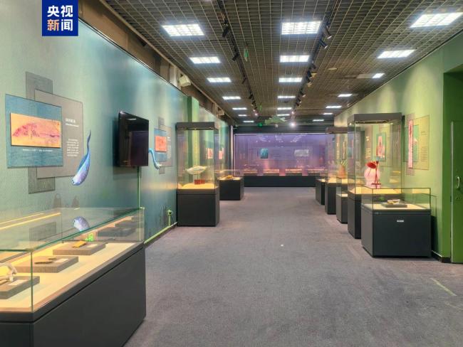 時間と空間の旅の旅。新jiang化石が初めて北京に展示されています」化石標本は比較的まれであり、脊椎動物の起源と人間の起源を探求し、研究するための貴重な化石材料です。 alt = 