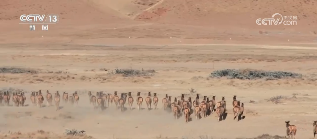                </div>
              
          </div>
          
          <!--<div class=