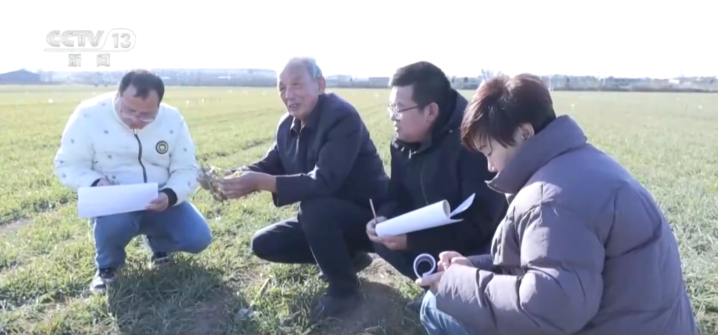  Lebih daripada 100 pakar wilayah dari kawasan tempatan menyediakan bimbingan 