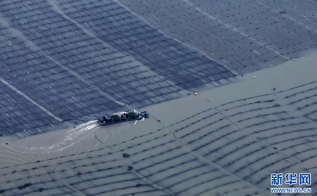 // </p> <p> kürzlich in der Marinzüchtung. Nanri Island, Putian (Drohnenfoto). Foto von Xinhua News Agency Reporter Wei Peiquan </p> <p> In Shanwei, Guangdong, ist das 