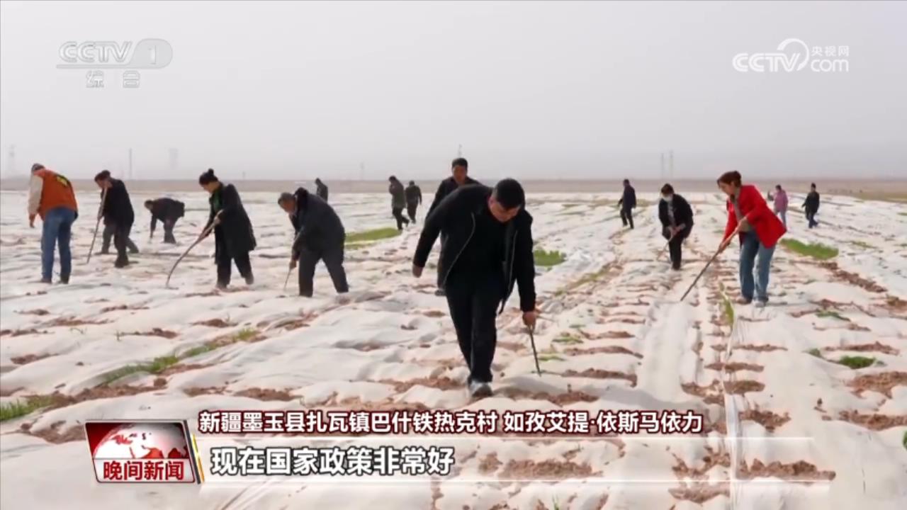 /> </p> <p> xinjiang moysu В этом году стремится увеличить производство зерна более чем на 1 миллиард джинов. Округ Мою выделил 270 миллионов юаней специальных средств, чтобы добавить 51 000 MU о пахотных землях для расширения площади и увеличения производственных мощностей. </p> <p> Рузиаити Исмайли, Деревня Баштирека, город Зава, округ Мою, Синьцзян: 5 акров пшеницы были посажены в этом году, а национальная субсидия была 1150 юаней для защиты пахотных земель. </p> <p class = 