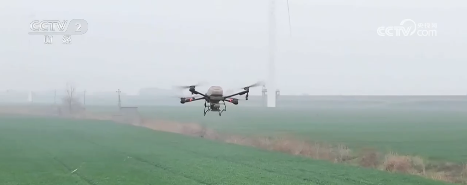 // p> <P> Publication de la croissance des technologies de la popularité, les experts de la croissance de la popularité, la croissance des technologies de la popularité, les forfaits de la croissance de l'agriculture, les forfaits de la croissance de l'agriculture, sont également des experts techniques et de combinaison de la popularité, les experts de la croissance de What Contrôle des ravageurs et pansement de printemps, pour compenser les lacunes techniques de la plantation de blé scientifique. </p> <p> Fuchuan, Guangxi: transplantation de semis de poivre, plantation de deux saisons pour promouvoir la croissance des revenus </p> <p> </p> <p> à Fuchuan, Guangxi, les agriculteurs de la base de poivron accélèrent les semis de poivron en transplantation, et les champs sont dans une situation animée. </p> <p class = 