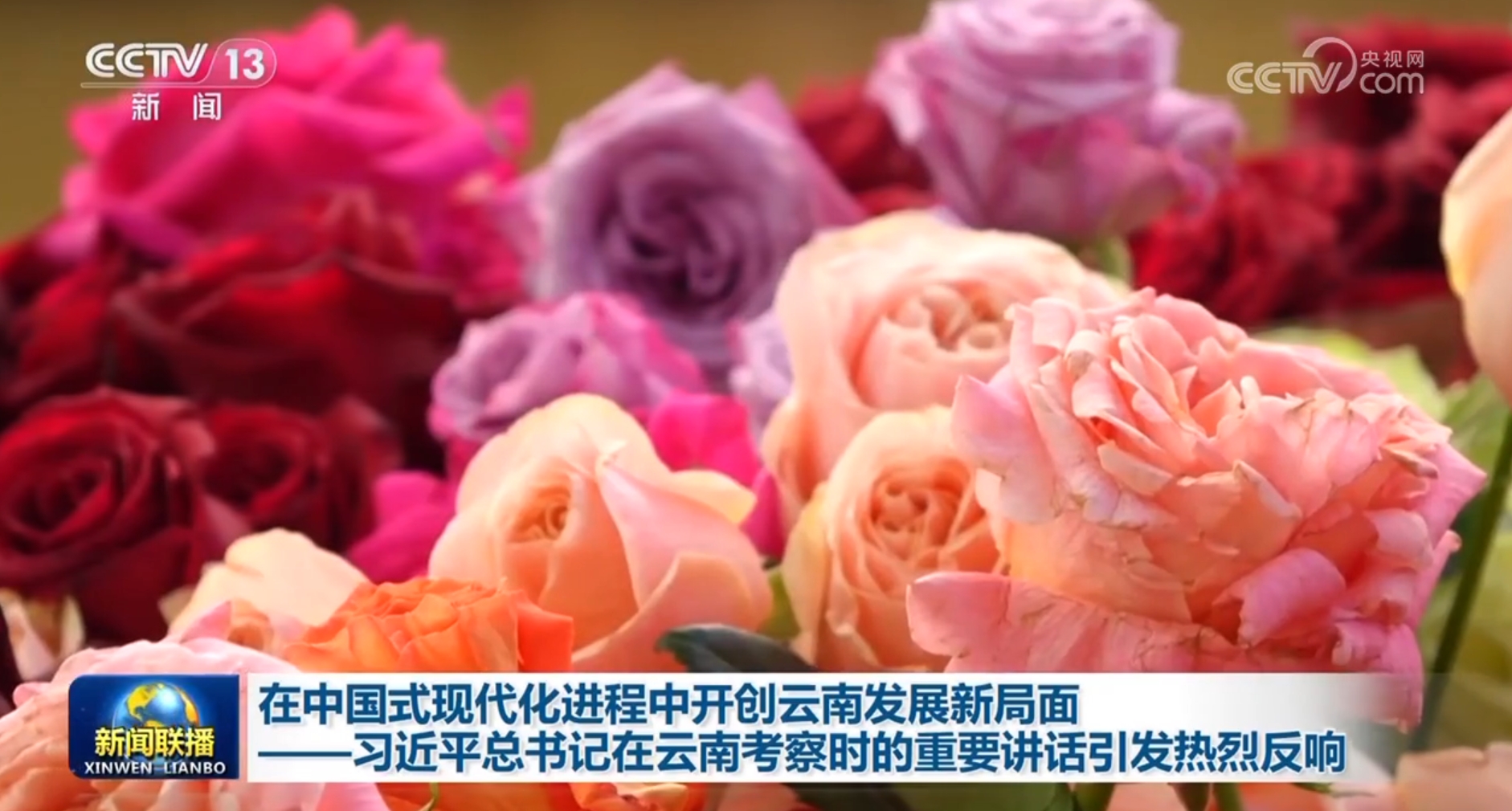 /> </p> <p> บานเต็มพร้อมอัตราการครอบคลุมสิ่งอำนวยความสะดวกอัตโนมัติมากกว่า 85% เลขาธิการทั่วไปจินผิงมาที่นี่เพื่อหยุดครั้งแรกของการตรวจสอบของเขาและมีการสนทนาอย่างจริงใจกับชาวบ้านและช่างเทคนิค </p> <p> มีพืชไม้ประดับมากกว่า 3,000 ชนิดในมณฑลยูนนานและสปีชีส์ของพวกเขาคิดเป็นครึ่งหนึ่งของพืชประดับในประเทศ เลขาธิการทั่วไปจินผิงชี้ให้เห็นว่าอุตสาหกรรมดอกไม้ของยูนนานมีโอกาสในวงกว้างและเราต้องทำงานหนักต่อไปจากอุตสาหกรรมเมล็ดพันธุ์การปลูกและตลาดสิ้นสุดลงเพื่อให้ 