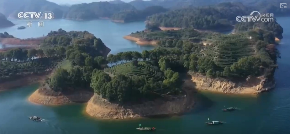 /> </p> <p> <p> <p> <p> <p> <P. plasse =