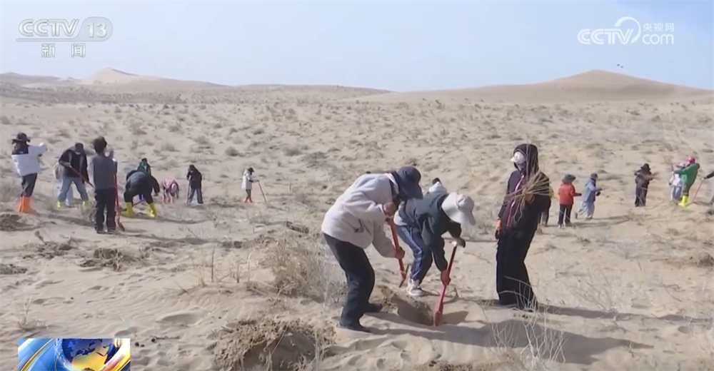 // p> <p> <p> <p> <p> In diesem Jahr haben sich das Jahr ein Jahr lang angehalten. Pflanzen. Das geschätzte Gebiet der Sandkontrolle beträgt mehr als 2.000 MU, und es wurden mehr als 800.000 Sandanbaupflanzen wie Saxacum, Blumenstangen und Zitronenstreifen gepflanzt. </p> <p class = 