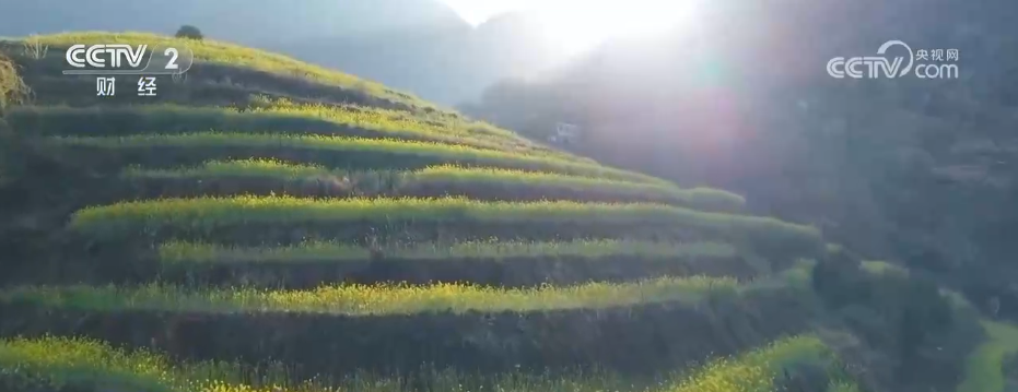 /> </p> <p> <p> <p> <p> -March. </p> <p class = 