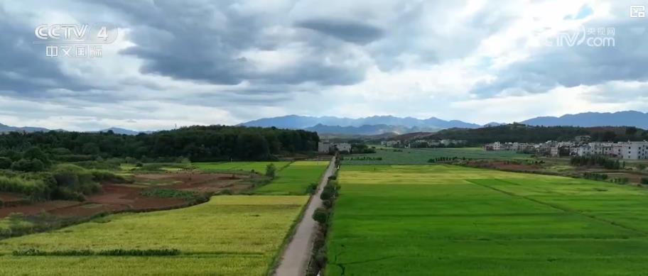 /> </p> <p> <p> <p> <p> <p>) war derzeit mehr als 35-Millionen-Millionen-Food-Food-Food-Food-Food-Foods, die vorliegen. Der Weizen in Shaanxi und Shanxi ist in die Joining -Zeit eingetreten, und die Region Nordost hat ebenfalls eine geschäftige Saison für die Vorbereitung auf die Landwirtschaft eingetreten. Seit Anfang dieses Jahres waren der nationale Niederschlag und das ankommende Wasser in großen Flüssen weniger als der Vorjahreszeitraum. Die lokalen Regierungen haben zeitnah optimierte Bewässerungspläne, um die Bodenfeuchtigkeit gemäß der Pflanzstruktur, der Zuweisung von Wasserressourcen usw. zu verbessern. </p> <p class = 