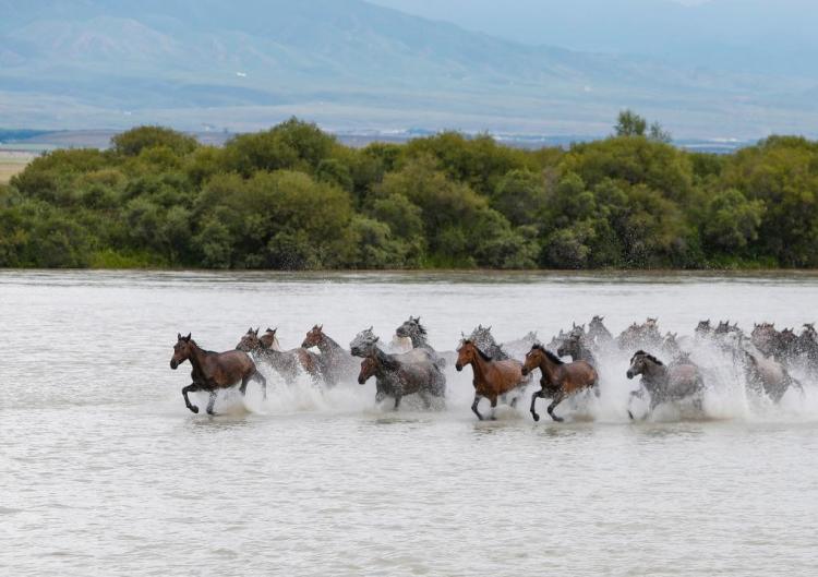 xinhua xinjiang hakkında konuştular. Nehir 11 Temmuz 2024'te Xinjiang Zhaosu Sulak Alan Parkı'nda alındı. Fotoğraf: Xinhua Haber Ajansı muhabiri Chen Shuo </p> <p> 