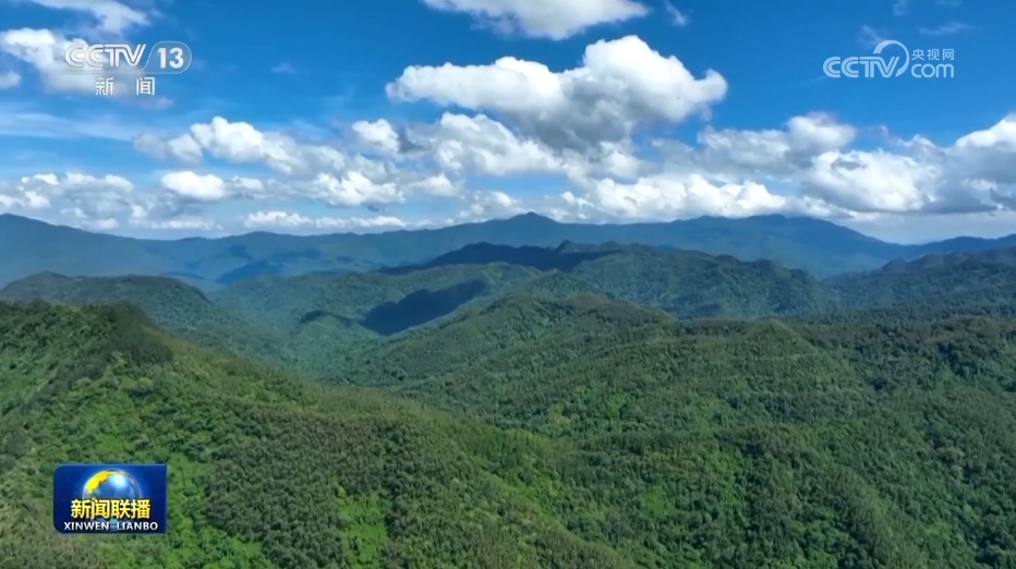 // </p> <p> Под руководством xi jinping. Произошел исторический, поворотный момент и общие изменения. Генеральный секретарь Си Цзиньпин отметил, что уровень охвата леса в моей стране превысил 25%, что составило около 25% от глобальной области озеленения. После постоянных усилий пустыня Такламакана нанесла «зеленый шарф», и песок Коркин вновь появляется в пастбищах, и достижения с трудом завоеваны. Важная речь генерального секретаря поощряет широкие массы кадров и масс активно обрести и зеленый лес и создавать прекрасный Китай вместе. </p> <p> Генеральный секретарь Си Цзиньпин указал, что родина должна придерживаться «трех зеленых» расширения зеленых и содействующих зеленых защиты, а также содействовать связке лесных резервуаров, денежных резервуаров, зерновых резервуаров и углеродных резервуаров и указывать направление для научного пропаганды национального озеленения земли и строительства прекрасного Китая. </p> <p class = 