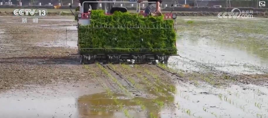 // </p> <p> <p> AGARTURAL AGASTRAGE. In 