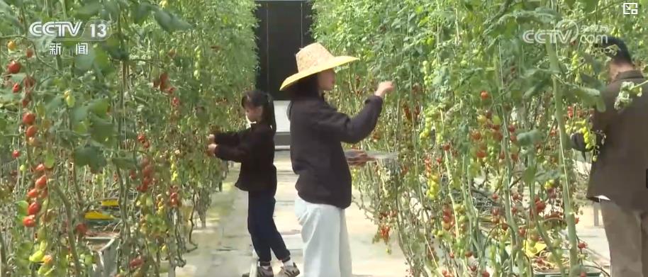 /> </p> <p> <p> <p> u. p> uHuhuhuhuhuhuhuhuhuhuhuhuhuhuhuhuhuhuhuhuhuhuhuhuhuhuhuhuhuhuhuhuhuhuhuhuhuhuhuhuhuhuhuhuhuhuhuhuhushush uShouShaus-Village u. Auswahlsaison. Die neu renovierte Straße in das Dorf ermöglicht es nicht nur, dass mehr Touristen den Spaß am Auswahl haben, sondern auch frische Früchte in der Greater Bay Area bequemer an den riesigen Markt verkauft werden. </p> <!-repaste.body.end->               </div>
              
          </div>
          
          <!--<div class=