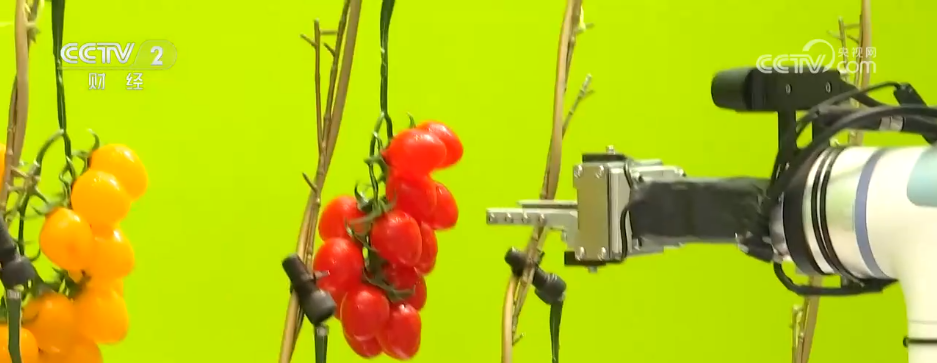 // </p> <p> <p> <p> Die erste Mass-produzierte Mass-produzierte. viele Käufer. Es löst das hohe Risikoproblem der Vorhangsreinigung in Höhe von großer Höhe. Der Begleitroboter für ältere Pflege, der intelligenter Gesundheitswesen dient, hat auch die Aufmerksamkeit vieler Käufer auf sich gezogen. </p> <p class = 
