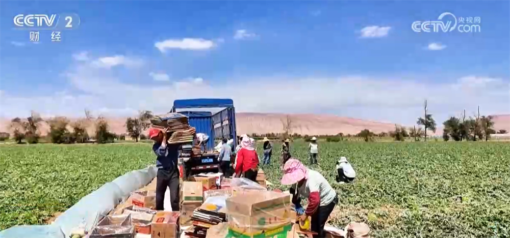 /> </P> </p> <p>. Sorten. Derzeit übernehmen die reifen und frühen Reifung Wassermelonen das Doppel-Kernbogen-Gewächshaus-Pflanzmodell. Sie reifen nicht nur früh, sondern haben auch genug Zucker und guten Geschmack. </p><p class=