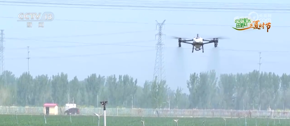 // p> <p> <p> <p> Es ist verstanden, dass es in der Lage ist, dass die 1.2729 Mio. MIS MIS MIS MIS MIS WOLLFAGN IN LAUD UND HEUSE ANGEBETT. Die landwirtschaftliche Abteilung organisiert den Betrieb von 