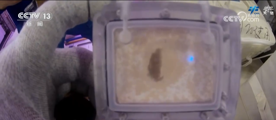 /p> p> p> p> p> p> p> p> p> p> p> p> p> p> alt alt =