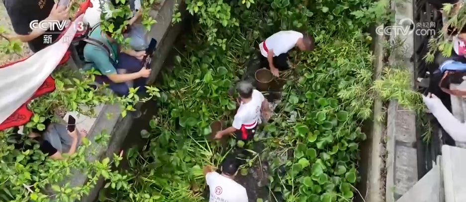 // </p> <p> o repORD Yanbu Foshan, província de Guangdong. O barco de dragão de 593 anos começou a água aqui. Depois que o homem do dragão entrou na água, ele primeiro seca a água no casco, incluindo a remoção do lodo. No passado, o barco do dragão estava enterrado no lodo sob o rio Surf, mas agora os moradores fizeram um leito de dragão para o barco de dragão, que é a base endurecida do cimento. Ao iniciar o dragão, você só precisa drenar a água suja. Os itens na mão do repórter são as ferramentas que o Lao Long precisa para produzir água. A colher é uma ferramenta para água limpa. Depois que a água é limpa, a seda da videira deve ser usada para limpar a lama. </p> <p class = 