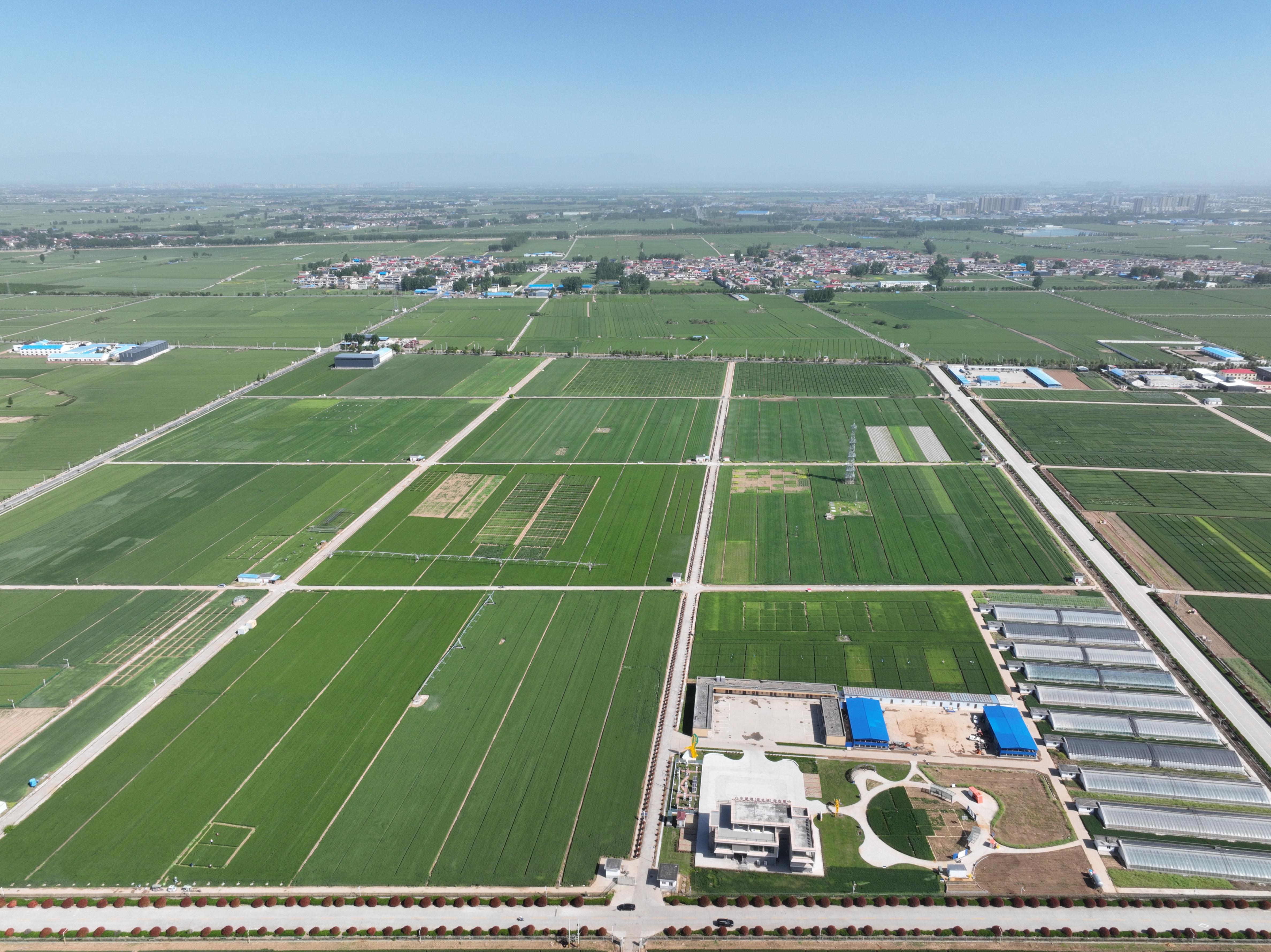 俯瞰水利部灌溉试验总站试验研究基地。受访者供图