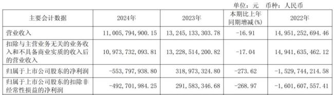 (来源:公司2024年财报)